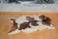 Preview: Rarität Kaschmirziegen Fell eine der edelsten Fasern der Welt
