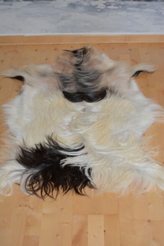 Bulgarian longhair goat hobby sewing crafts costume made