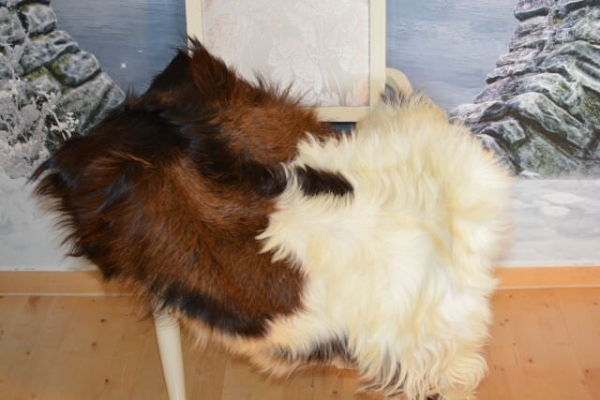 Goatskins Twin Set Colorful Dutch Pinto