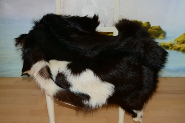 Black Dutch pinto XXL goatskin rug pad