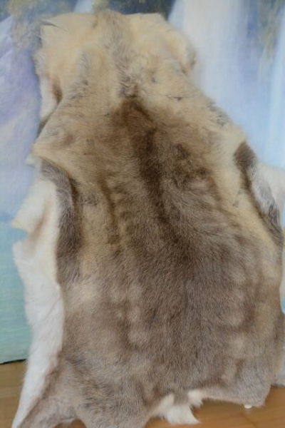 Reindeer fur Wildhide Dragon Gold XXXL